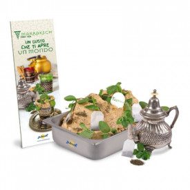 Nutman | Acquista KIT GELATO MARRAKECH | box completo | Kit completo di pasta gelato per preparare il gusto Marrakech (tè alla m