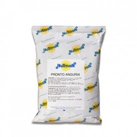 BASE PRONTO ANGURIA Nutman | scatola da 12,5 kg. - 10 buste da 1,25 kg. | Base per gelato pronta all'uso al gusto anguria. Certi