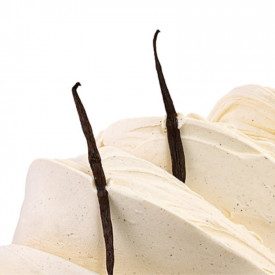 Nutman | Buy online VANILLA BOURBON PASTE | bucket of 5 kg. | Ice cream paste with fine Bourbon vanilla.