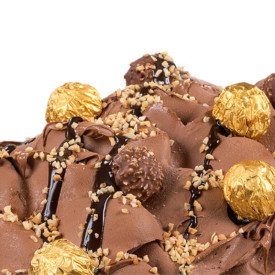 PASTA ROCHER NUT 3ROC05 | Certificazioni: senza glutine, senza latte e derivati; Confezione: secchiello da 5 kg.; Tipo di prodot