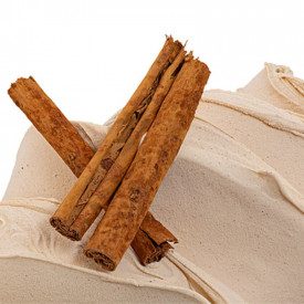 Nutman | Buy online CINNAMON PASTE | bucket of 5 kg. | Ice cream paste prepared with pure cinnamon.