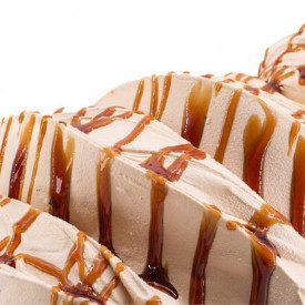 Nutman | Acquista PASTA CREAM CARAMEL | secchiello da 5 kg. | Pasta per gelato concentrata a base di caramello.