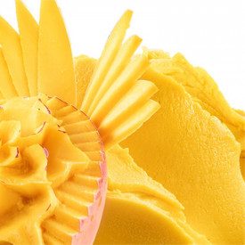 Nutman | Acquista PASTA MANGO | secchiello da 3 kg. | Pasta per gelato preprata con mango.