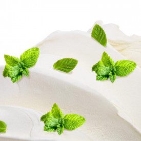 Nutman | Acquista PASTA MENTA BIANCA GLACIALE | secchiello da 3 kg. | Pasta per gelato alla menta, colore bianco naturale.