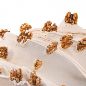 Nutman | Buy online WALNUT PASTE | bucket of 5 kg. | Ice cream paste enriched with walnuts.