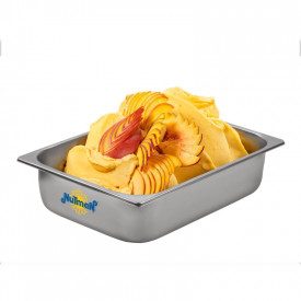 Nutman | Acquista BASE FRUTTA EXTRA 100 | scatola da 10 kg. - 5 buste da 2 kg. | Base per gelati alla frutta, dosaggio 100 gr/l,