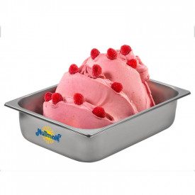 Nutman | Buy online FRUIT BASE UP 50 - NO MILK | box of 10 kg. - 5 bags of 2 kg. | Base for fruit ice cream, dosage 50 g / l. Ho