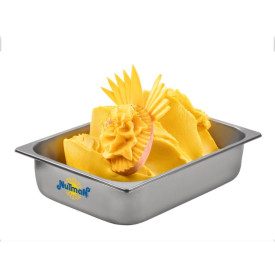 FULL FRUIT BASE 8BFFUL | Certifications: gluten free, diary free; Pack: box of 10 kg. - 5 bags of 2 kg.; Product family: ice cre