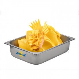 Nutman | Buy online FULL FRUIT BASE | box of 10 kg. - 5 bags of 2 kg. | Base for fruit ice cream, dosage 300 g / l. Cold process