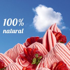 Buy online BASE PURE FRUIT 70 Rubicone | box of 16 kg.-4 bags of 4 kg. | Sorbets 100% natural, without additives "E", with veget