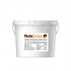 CANDIED HAZELNUT RIPPLE CREAM | NutsDried | bucket of 3 kg. | Rippling cream made with Hazelnut brittle. Origin of fruit: Italy.