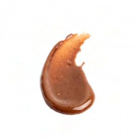 PECAN NUT PURE PASTE | NutsDried | bucket of 3 kg. | Ice cream paste 100% pecan nut. Origin of fruit USA.