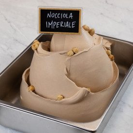 HAZELNUT PASTE IMPERIALE | Leagel | bucket of 5 kg. | ice cream paste made with richly toasted Italian hazelnuts. Certifications