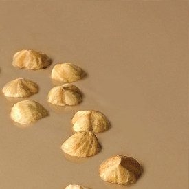 CREMA LANGAROLA NUTMAN PER FARCITURA | Nutman | Confezione: secchielli da 13 kg.; Tipo di prodotto: creme farcitura e confetture