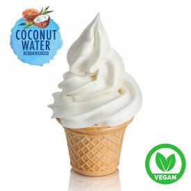 Acquista ACQUA DI COCCO READY SOFT- 1,5 Kg. | buste da 1,5 kg. | Base versatile per gelati al cocco. Cerificata Vegan OK. Perfet