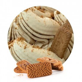 SPECULOOS READY SOFT BASE - 1,7 Kg. | Rubicone | Certifications: gluten free; Pack: bag of 1,7 kg.; Product family: ice cream ba