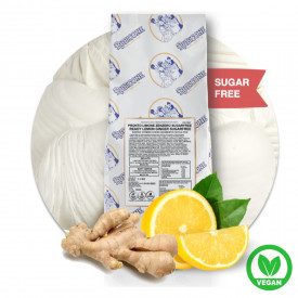 Buy online LEMON GINGER SUGAR FREE READY BASE Rubicone | box of 11 kg. - 10 bags of 1,1 kg. | Premix in powder for Artisan Ice C