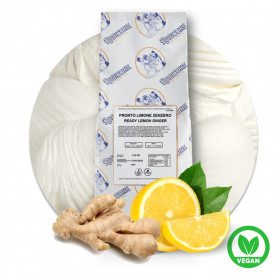 Buy online READY LEMON GINGER BASE Rubicone | box of 7,5 kg. - 6 bags of 1,25 kg. | Premix in powder for Artisan Ice Cream, lemo
