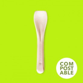 DUE31 COMPOST 9.5 CM. - ICE CREAM SPOON | Polo Plast | box of 10 kg. - 5555 pcs. | Compostable ice cream spoons size cm. 9.5 hav