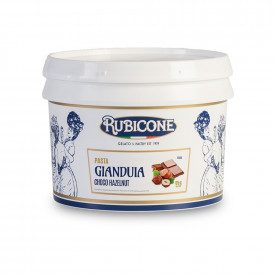 Buy online GIANDUIA PASTE Rubicone | box of 6 kg.-2 buckets of 3 kg. | Gianduia is a concentrated ice cream paste, delicious tas
