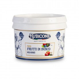Buy online BERRIES PASTE Rubicone | box of 6 kg.-2 buckets of 3 kg. | Berries is a concentrated gelato paste made with berries.