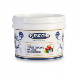Buy online BERRIES PASTE NO SEEDS Rubicone | box of 6 kg.-2 buckets of 3 kg. | Berries no SEEDS is a gelato paste concentrated m