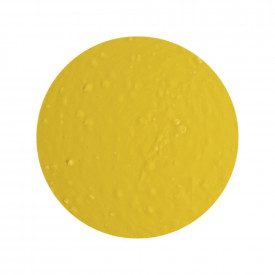 CREMINO LIMONE E MERINGA 5 KG. - RUBICONE | Rubicone | Certificazioni: halal, kosher; Confezione: secchiello da 5 kg.; Tipo di p