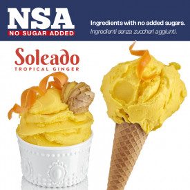 READY SOLEADO NSA TROPICAL GINGER | Rubicone | Certifications: halal, kosher, gluten free, dairy free, vegan, sugar free; Pack: 