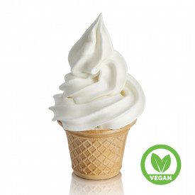 Acquista FROZEN SOFT YOGURT VEGAN Rubicone | Busta da 1,8 Kg. | Prodotto completo per Frozen Yogurt vegan