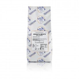 Buy online BASE SLUSH GRANITA MINT Rubicone | box of 6 kg. -6 bags of 1 kg. | Complete product in powder for preparing an Italia