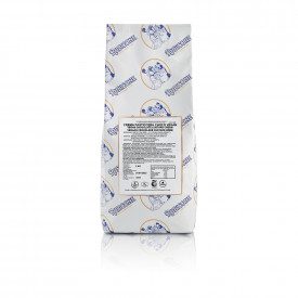 Buy online CHOCO CUSTARD CREAM IN POWDER VEGAN Rubicone | box of 12 kg. - 4 bags of 3 kg. | Complete product in powder to prepar