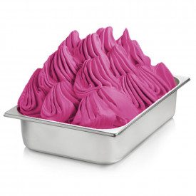 Buy online RASPBERRY READY SOFT BASE Rubicone | box of 7 kg. - 6 bags of 1,25 kg. | Complete product for Soft Serve and Traditio