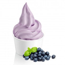 Buy BLUEBERRY READY SOFT BASE - 1,25 KG. Rubicone bags of 1,25 kg. | Complete product for soft serve and traditional ice bream, 