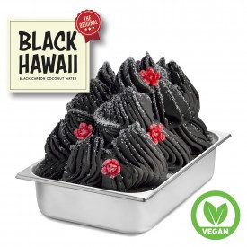Acquista BLACK HAWAII VEGAN READY BASE Rubicone | scatola da 11,6 kg. - 8 buste da 1,45 kg. | Innovativa base al carbone vegetal