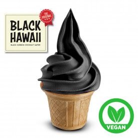 BASE SOFT BLACK HAWAII VEGAN - 1.45 Kg. | Rubicone | Pack: bags of 1,45 kg. | Complete premix in powder for Black Hawaii Soft Ic