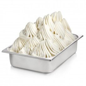 YOGO PREMIUM PLUS FLAVORING | Rubicone | Pack: box of 12 kg. - 8 bags of 1,5 kg.; Product family: flavorings in powder | Concent