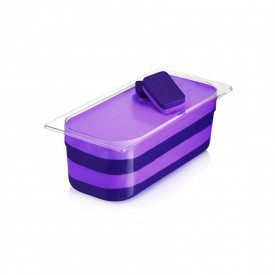 BLUEBERRY CREMINO 5 KG. – RUBICONE | Rubicone | Certifications: gluten free; Pack: bucket of 5 kg.; Product family: cream ripple
