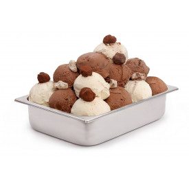 Nutman | Buy online GIANDUIA AND HAZELNUT GRAIN PASTE | bucket of 5 kg. | Ice cream paste with white chocolate and hazelnut grai
