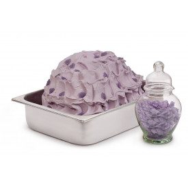 Nutman | Buy online PURPLE PASTE | bucket of 3 kg. | Gelato paste with violet flavour.