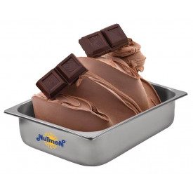 Nutman | Acquista BASE PRONTO CIOCCOLATO EXTRA LATTE | scatola da 9,6 kg. - 6 buste da 1,6 kg. | Base per gelato pronta all'uso 