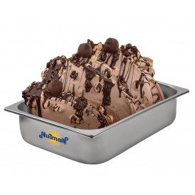 Nutman | Buy online GIANDUIA AND HAZELNUT GRAIN DARK PASTE | bucket of 5 kg. | Ice cream paste prepared with praline and hazelnu