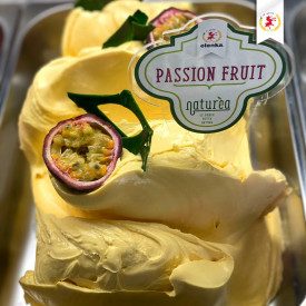 NATUREA - PASSSION FRUIT PUREE - Kg. 1 | Elenka | Pack: bag of 1 kg.; Product family: flavoring pastes | Naturèa Passion Fruit i