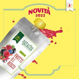 NATUREA - WILDBERRIEES PUREE - Kg. 1 | Elenka | Pack: bag of 1 kg.; Product family: flavoring pastes | Naturèa Wildberries is a 