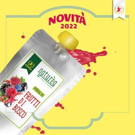 NATUREA - PUREA DI FRUTTI DI BOSCO KG.1 Elenka | busta da 1 kg. | Naturèa Frutti di Bosco è una purea di frutta al 100%, perfett