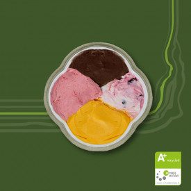 Buy online FLOWER GR. 500 - ICE CREAM CONTAINER RECYCLED Domogel | box of 100 pcs. | Take away ice cream container, flower shape
