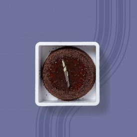 DOMOCLASS 4 BASSA QUADRATA - SCATOLA TERMICA ASPORTO TORTE GELATO Domogel | scatola da 30 pz. | Scatola termica quadrata in poli