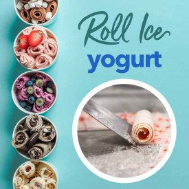 Buy ROLL-ICE YOGURT BASE - ROLL ICE CREAM BASE Rubicone bags of 1.6 kg. | Tailored powder base for making yogurt-based Ice Cream