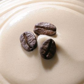 CREMA FREDDA GRAN CAFFÈ ELENKA - CREMA CAFFÈ - 1 KG. Elenka | sacchetti da 1 kg. | Base per realizzare la crema al caffè nel gra