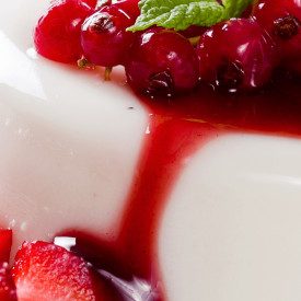 BASE SEMIFREDDO ALLA PANCOTTA ELENKA