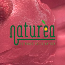 Buy NATUREA - RASPBERRY PUREE - Kg. 1 | Elenka | bag of 1 kg. | Naturèa Raspberry is a 100% fruit puree, perfect when combined w